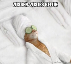 Pampered Cat Meme