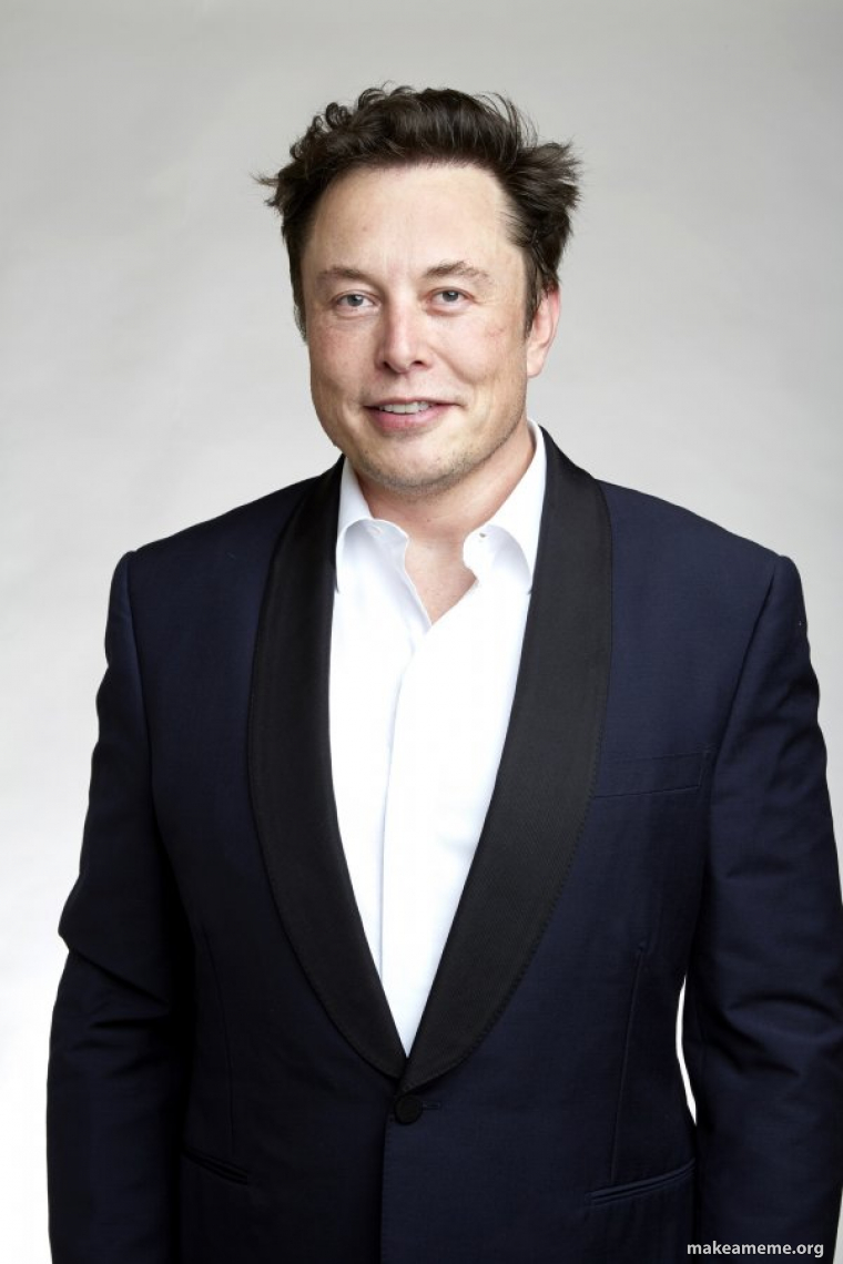 Elon Musk meme