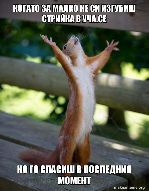 Happy Squirrel meme