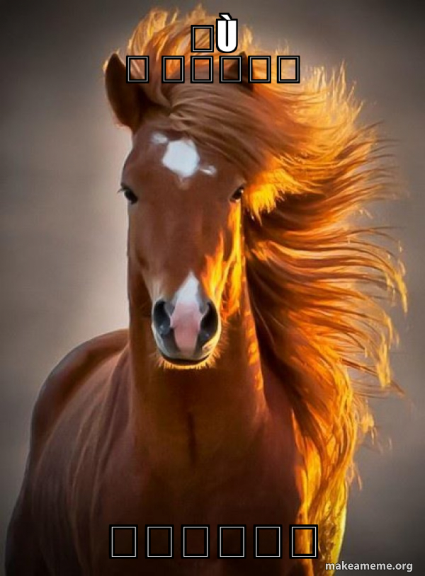 Ridiculously photogenic horse meme