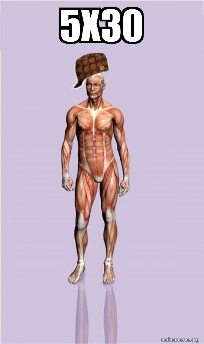 Scumbag Body meme