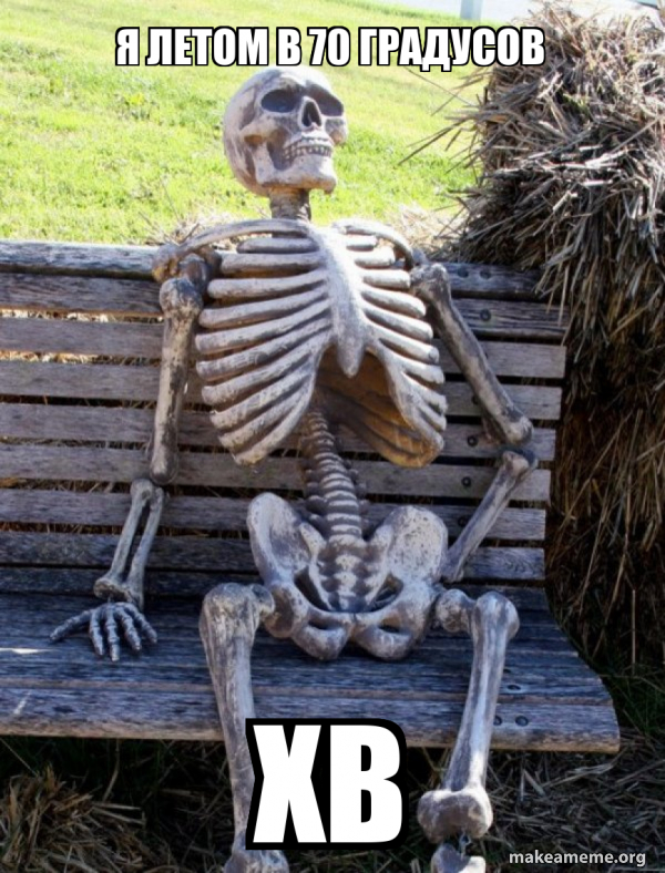 я летом в 70 градусов хв - Waiting Skeleton Meme Generator