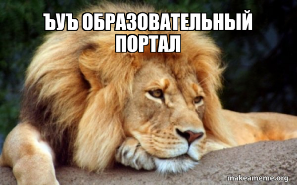 Confession Lion meme