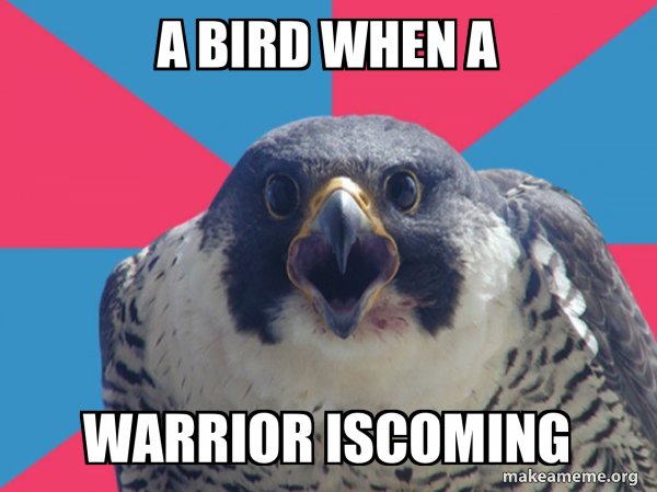 Millennial Falcon meme