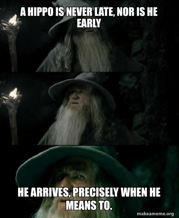 Confused Gandalf meme