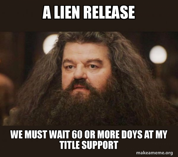 Hagrid - I should not have said that meme