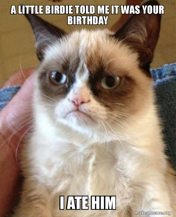 A little birdie told me it was your birthday I ate him - Grumpy Cat ...