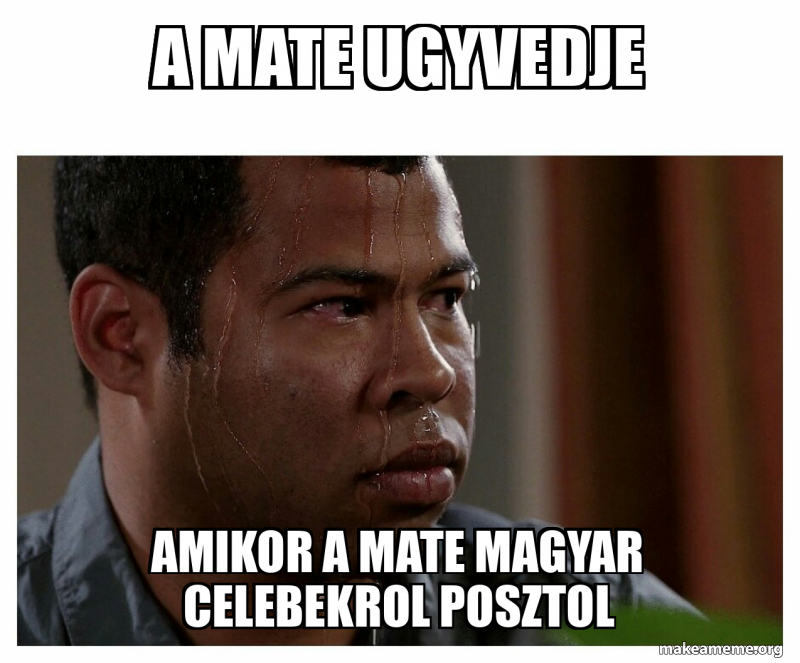 A Mate ugyvedje amikor a mate magyar celebekrol posztol Meme Generator