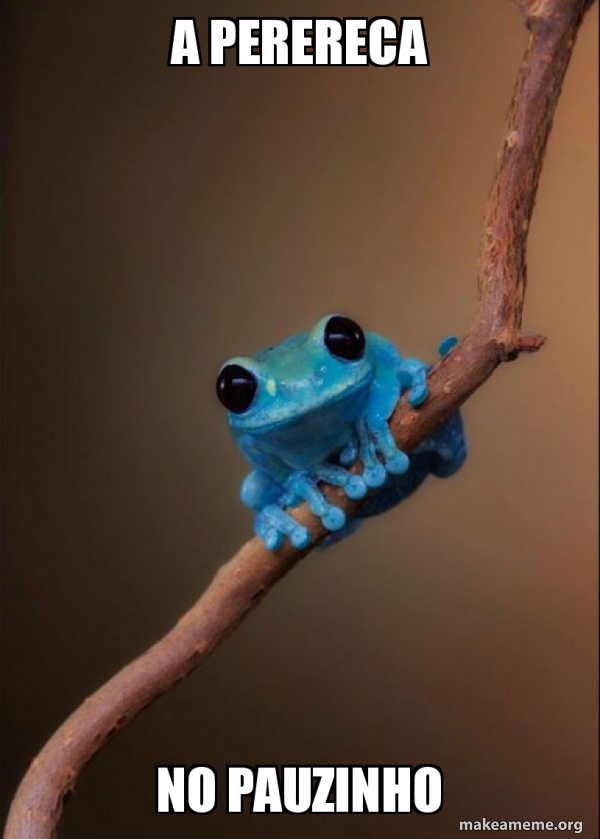 A PERERECA NO PAUZINHO - Small Fact Frog Meme Generator