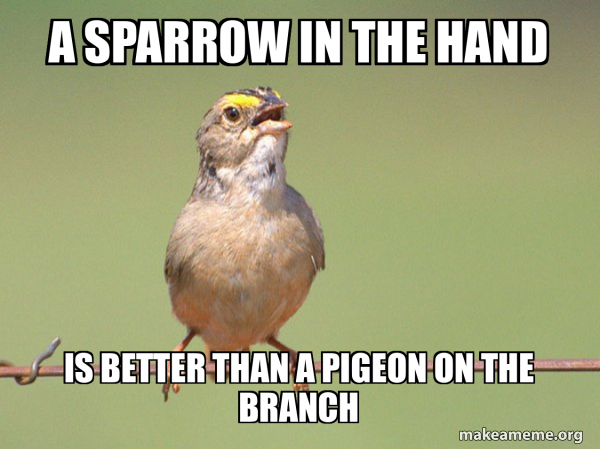 Common Opinion Sparrow meme