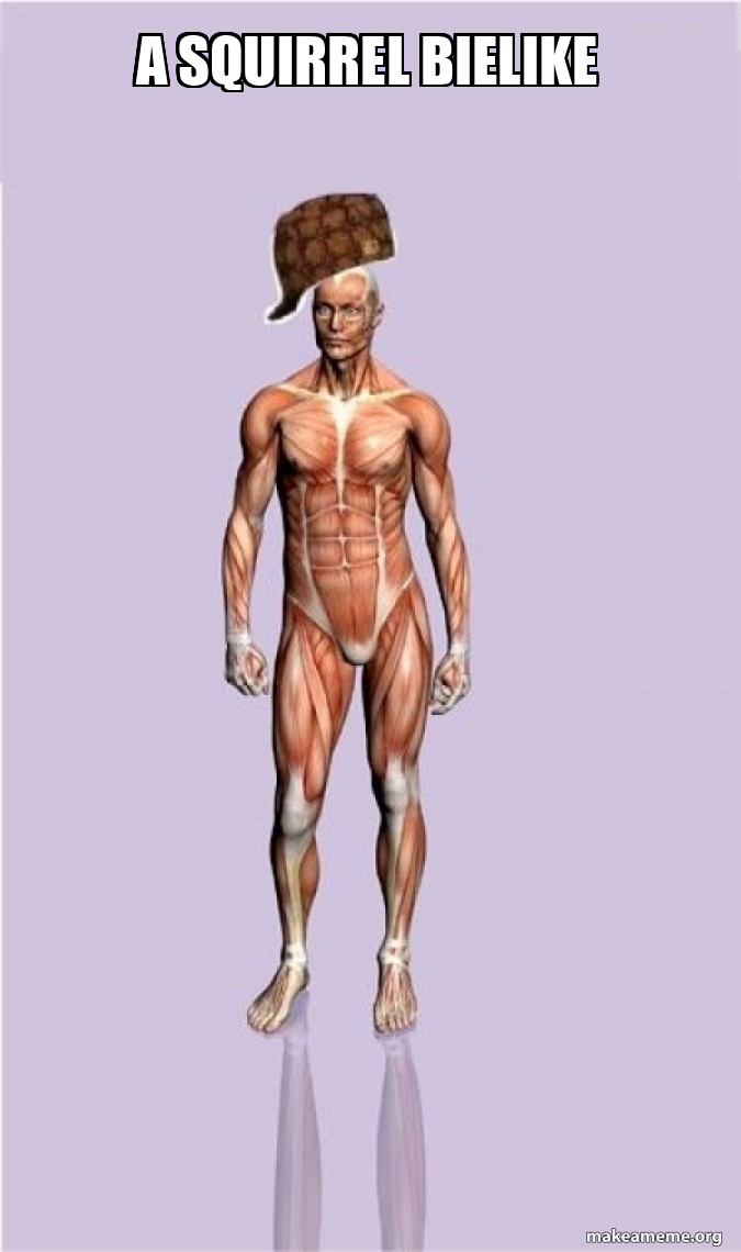 Scumbag Body meme