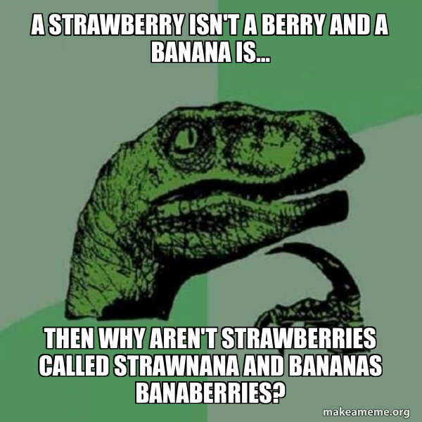 Philosoraptor meme