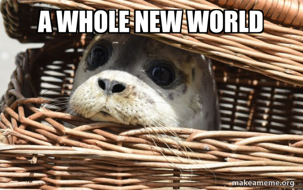 Impending Doom Seal meme