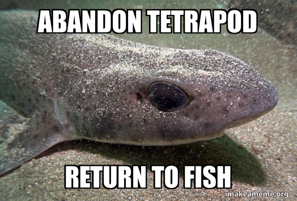 Dirty Joke Dogfish meme