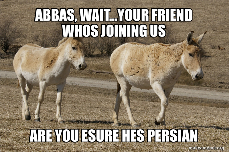 Abbas, wait…your friend whos joining us Are you esure hes persian Meme ...