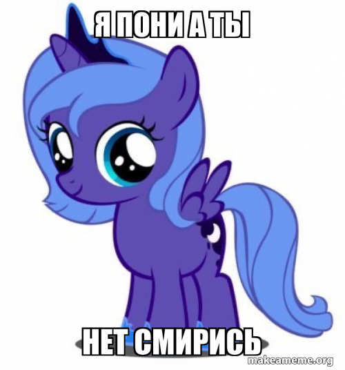 Я ПОНИ А ТЫ Нет смирись Meme Generator