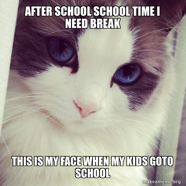 After school school time I need break This is my face when my kids 
