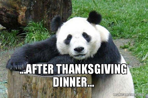 After Thanksgiving Dinner Confession Panda Make A Meme