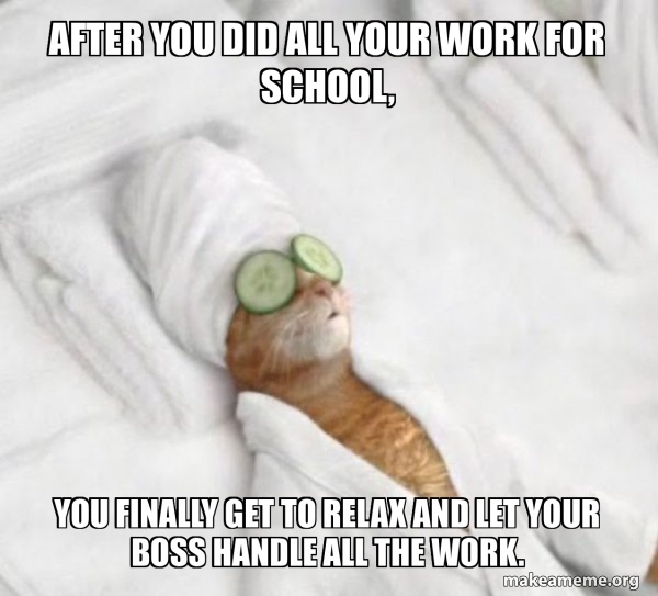 Pampered Cat Meme meme