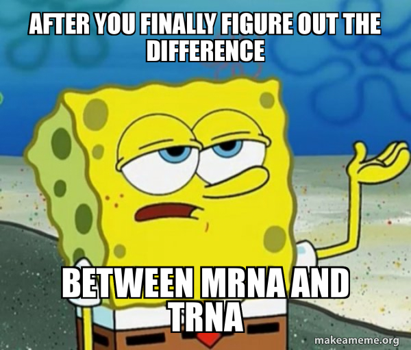 Tough Spongebob (I'll have you know) meme