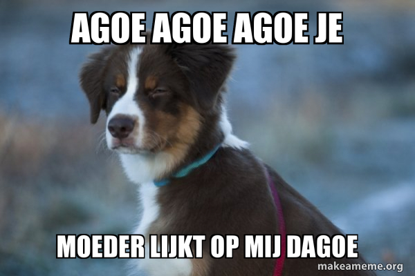 Unsure Dog meme