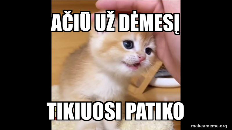 AČIŪ UŽ DĖMESĮ TIKIUOSI PATIKO Meme Generator