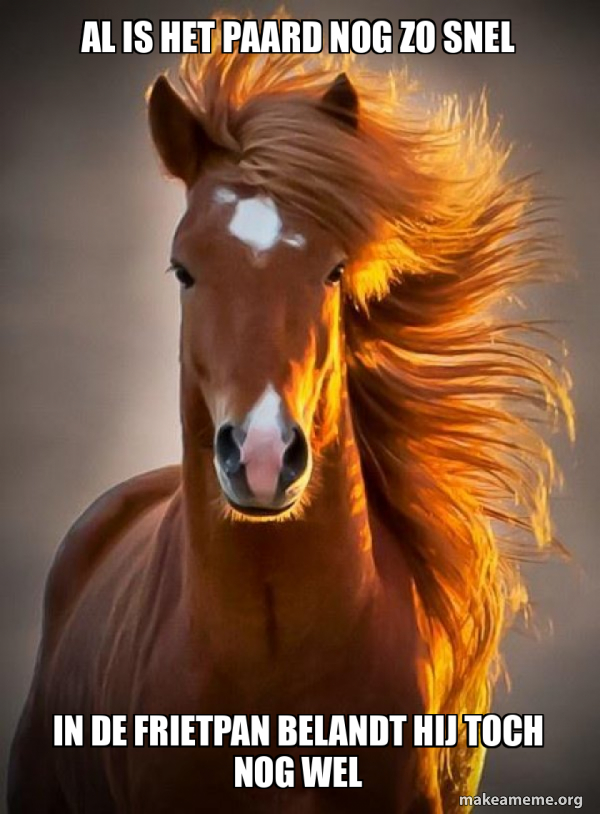 Ridiculously photogenic horse meme