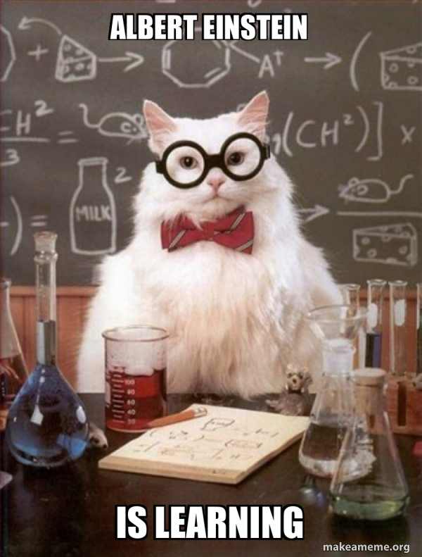 Albert Einstein is learning - Chemistry Cat Meme Generator