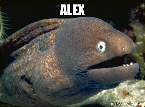 alex - Bad Joke Eel Meme Generator