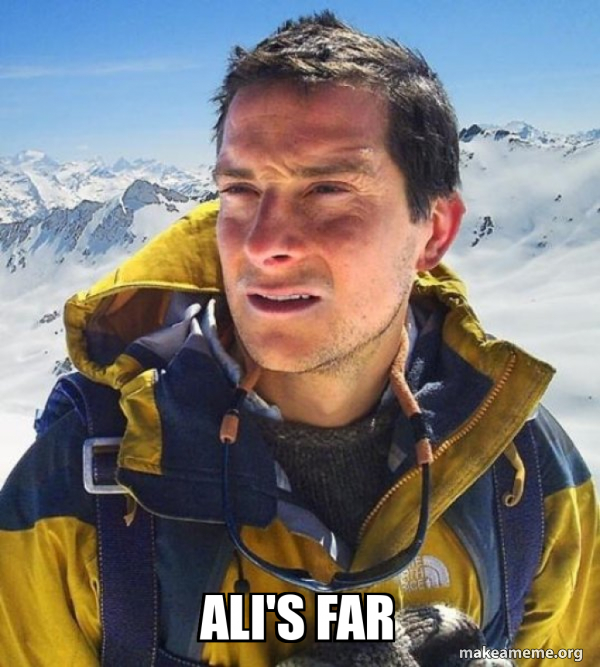 Bear Grylls meme