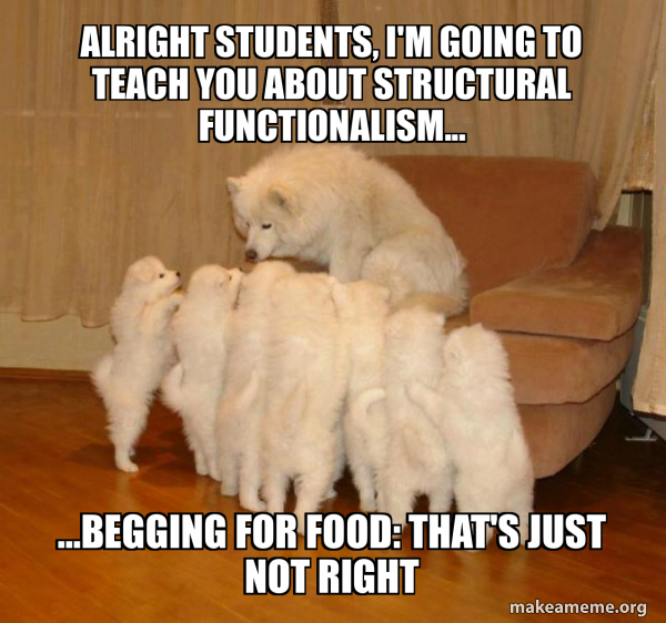 Alright students, I'm going to teach you about structural functionalism ...