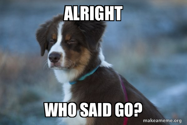 Unsure Dog meme