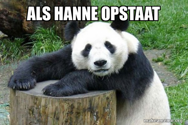 Confession Panda meme