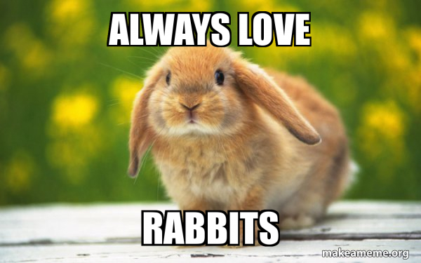 Regretful Rabbit meme