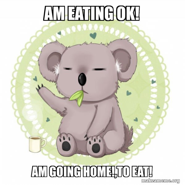 Aussie Koala doing the night shift meme