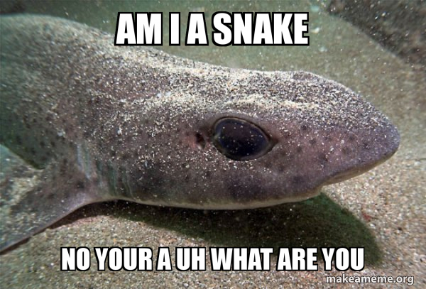 Dirty Joke Dogfish meme