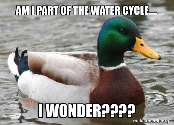Actual Advice Mallard meme