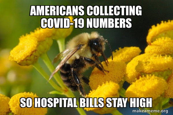 Good Guy Bee meme