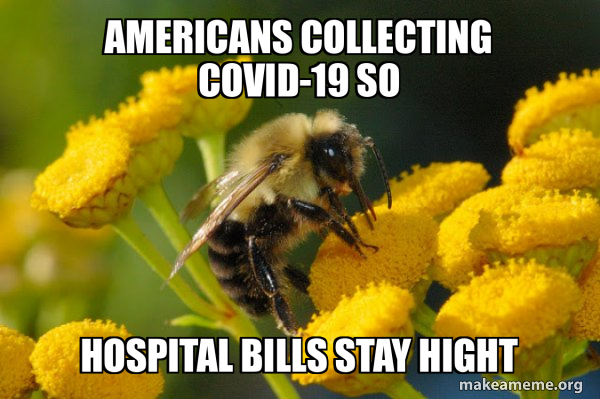 Good Guy Bee meme