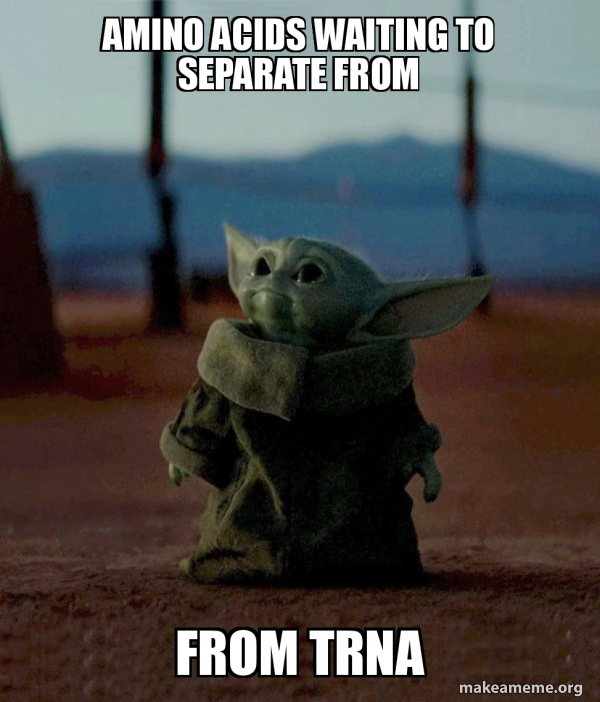 Baby Yoda meme