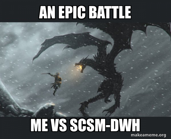 Skyrim Dragon Slaying meme