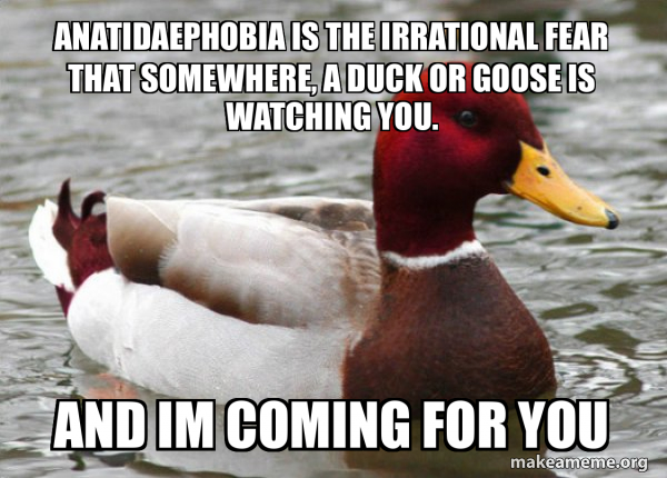 Malicious Advice Mallard meme