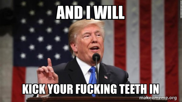 Donald Trump meme