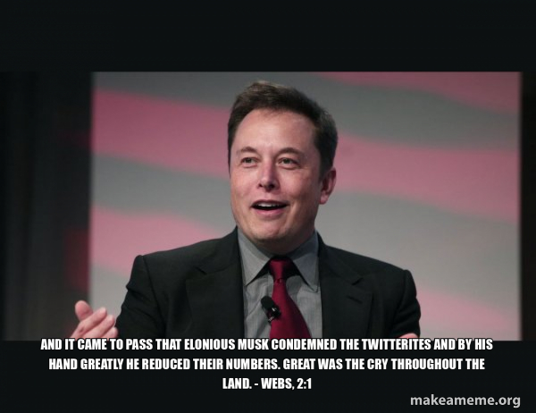 Elon Musk meme