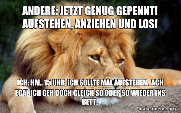 Confession Lion meme