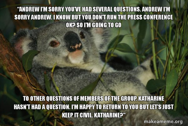 Laid Back Koala meme