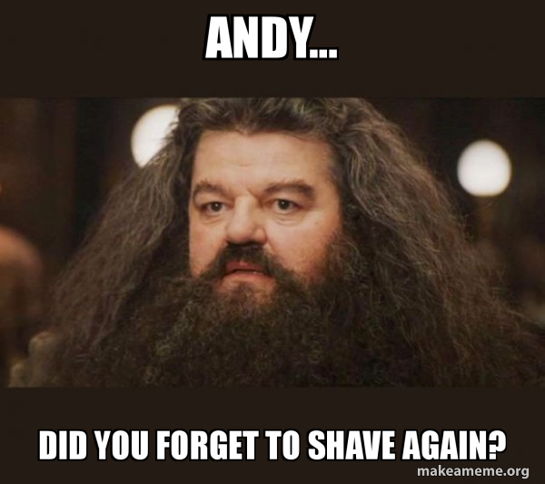 Hagrid - I should not have said that meme