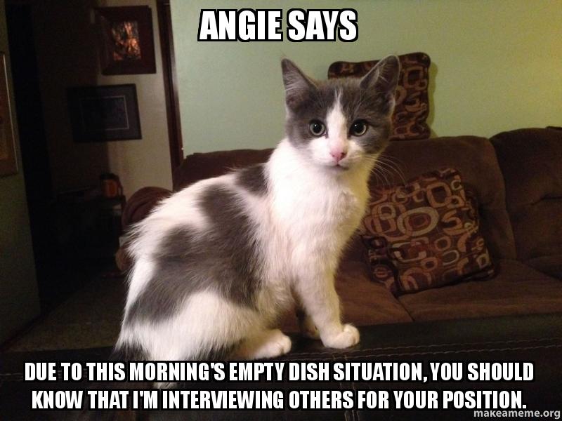 Angie Says due to this morning's empty dish situation, you should know