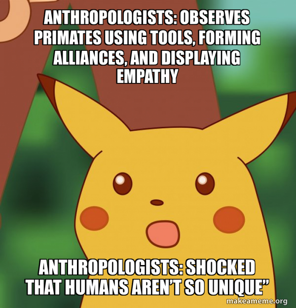 Anthropologists: Observes primates using tools, forming alliances, and ...
