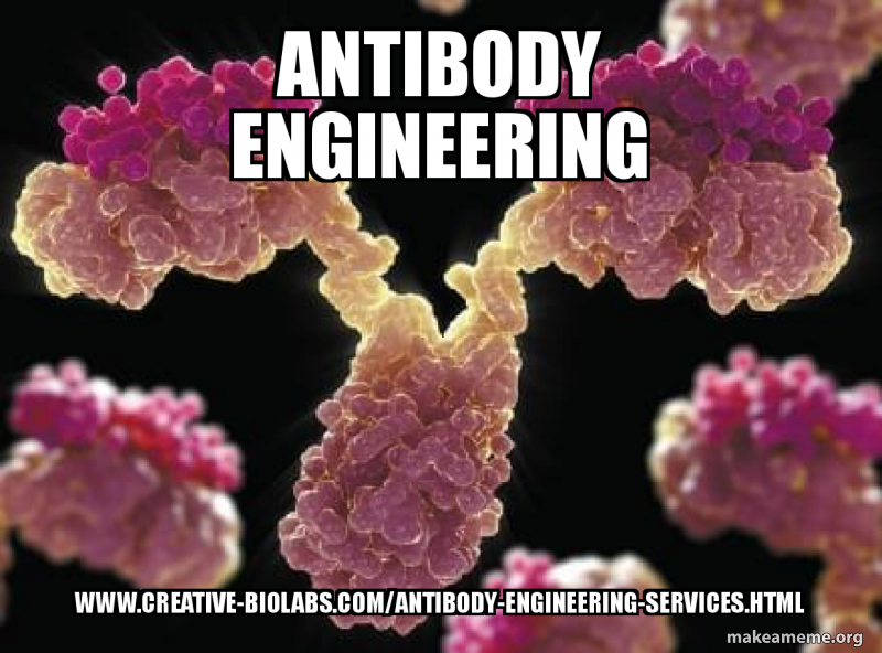 Antibody Meme